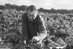 Winemaker-brecon-600x400